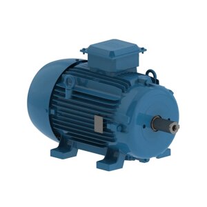 Асинхронный электродвигатель WEG 12312850 AM W20 -112M 4 кВт 4P B3T 380-460 В 50 Гц