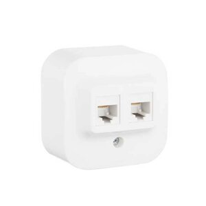 Розетка двойная Legrand Forix RJ 45 кат. 5е IP20 накладная белый