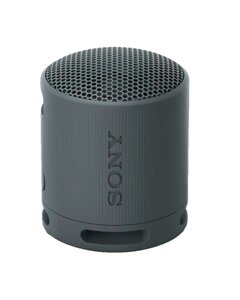 Портативная колонка Sony SRS-XB100/BCE