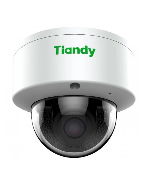 Tiandy 2Мп уличная купольная IP-камера 2.8 мм, 512Гб слот SD, кнопка reset от компании icopy - фото 1