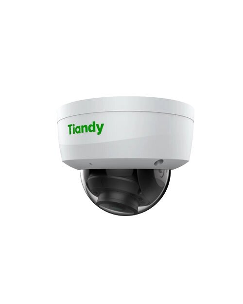 Tiandy 2Мп уличная купольная IP-камера 2,8мм 512Гб слот SD, audio I/O 1/1, alarm I/O 1/1 от компании icopy - фото 1