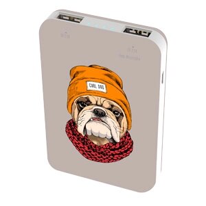 Зарядное устройство Power bank Ritmix RPB-10007 Bulldog от компании icopy - фото 1