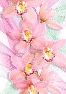 Орхидеи х5 "Премиум" фотообои
