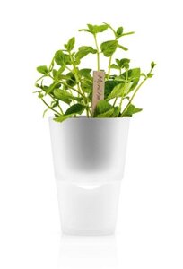 Горшок цветочный, 11см белый EVA SOLO Herb pot 568115, шт
