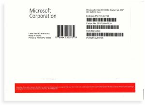 Windows Svr Std 2019 64Bit English 1pk DSP OEI DVD 16 Core