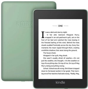 Amazon Kindle PaperWhite 2018 8Gb зеленый