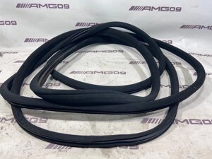 Уплотнительная резинка дверного проема Mercedes-Benz S-Class W221 M273.961 2007 перед. (б/у)