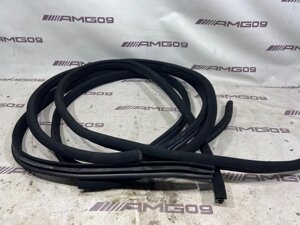 Уплотнительная резинка дверного проема Mercedes-Benz Cls-Class C219 M273.960 2008 (б/у)