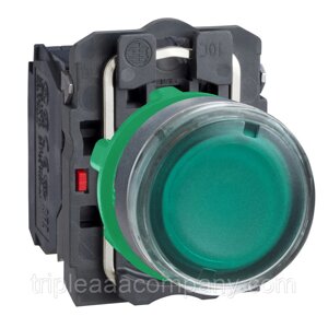 Кнопка с подсветкой, скрытый, зеленый,22, пружинный возврат, 110120 V AC, 1 НО + 1 НЗ XB5AW33G5