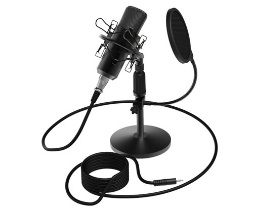 Студийный микрофон Ritmix RDM-175 черный