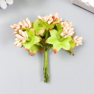 Цветы для декорирования 'Паслен жасминовидный' 1 букет10 цветов персиковый 9,5 см