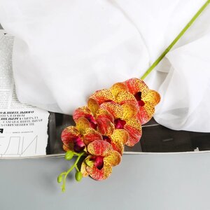 Цветы искусственные 'Орхидея экстра галант' 60 d-8 см, жёлтый