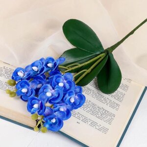 Цветы искусственные 'Орхидея королевская' 3,5х28 см, синий