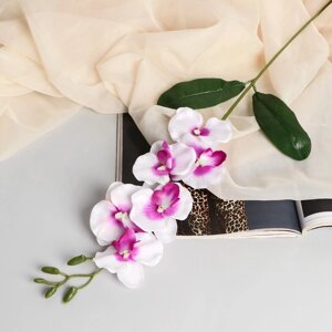 Цветы искусственные 'Орхидея пышность' 60 см, белый