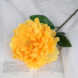 Цветы искусственные 'Пион бархатный' 15х55 см, жёлтый