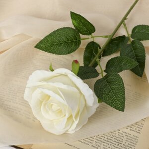 Цветы искусственные 'Роза боливийская' 8х55 см, белый