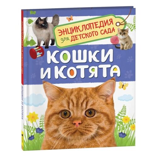 Энциклопедия для детского сада 'Кошки и котята'