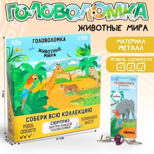 Головоломка металлическая 'Животные мира'в шоубоксе (комплект из 6 шт.)