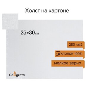 Холст на картоне Calligrata, хлопок 100, 25 х 30 см, 3 мм, акриловый грунт, мелкое зерно, 280 г/м2