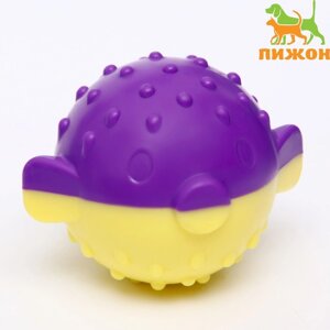 Игрушка для собак 'Фугу' TPR, 9 см, фиолетовая/жёлтая