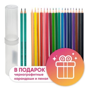 Карандаши 18 цветов Calligrata, ЭКОНОМ, заточенные, шестигранные, пластиковые, пенал-тубус и 2 чернографитных карандаша