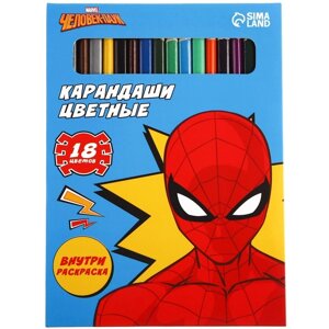 Карандаши цветные 18 цветов, Супер-мен'Человек-Паук