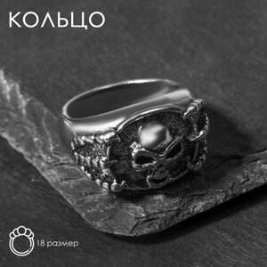 Кольцо 'Перстень' череп и когти, цвет чернёное серебро, 18 размер