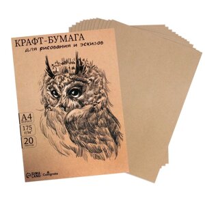 Крафт-бумага для рисования, графики и эскизов А4, 20 листов (210х300 мм), 175 г/м, в крафт папке, коричневая/серая