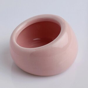Миска керамическая для грызунов со скошенным краем 30 мл 5,7 х 5,7 х 3,5 см, розовая