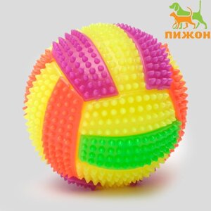 Мяч для собак светящийся с пищалкой 'Водное поло'TPR, 7 см, микс цветов