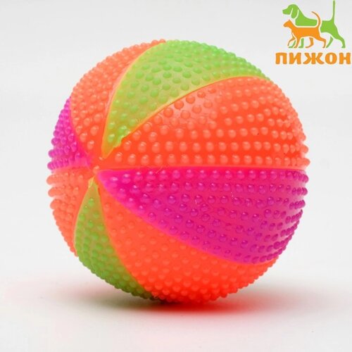 Мячик светящийся для собак 'Цирковой'TPR, 6,5 см, микс цветов