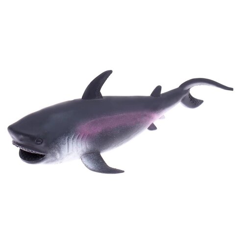 Мялка 'Акула' с пастой, цвета МИКС (комплект из 12 шт.)