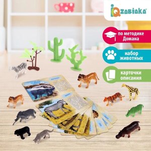 Набор животных с обучающими карточками 'Дикие животные разных стран'животные пластик, карточки, по методике Монтессори