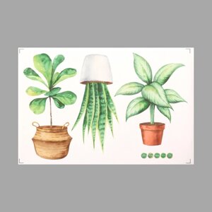Наклейка пластик интерьерная цветная 'Домашние растения' 40х60 см