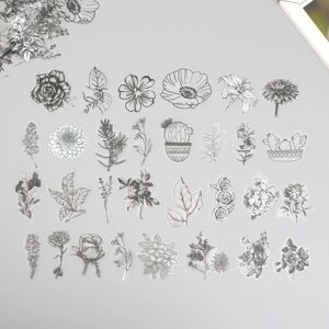 Наклейки для творчества пластик PVC 'Эскизы растений' набор 60 шт 10х14 см