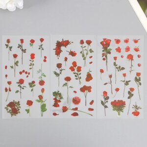 Наклейки пластик 'Розы' набор 6 листов 10х18 см