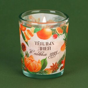 Новогодняя свеча в стакане 'Теплых дней'аромат мандарин