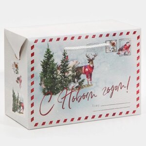 Пакет-коробка 'Новогодняя пора'28 x 20 x 13 см