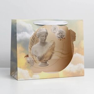 Пакет ламинированный с пластиковым окном 'Нимфа'32,5 x 26,5 x 13,5 см
