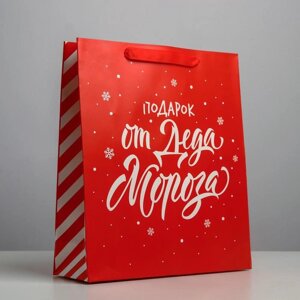 Пакет ламинированный вертикальный 'Подарок от Деда Мороза'M 26 x 30 x 9 см