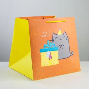 Пакет подарочный квадратный, упаковка, Котик и тортик'30 х 30 х 30 см