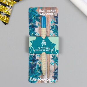 Растущие подарочные карандаши mini Ель - залог здоровья 'Ель голубая'