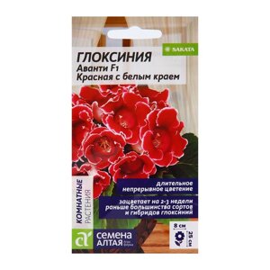 Семена комнатных цветов Глоксиния Аванти 'Красная с белым краем'8 шт.