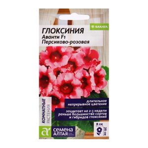 Семена комнатных цветов Глоксиния Аванти 'Персиково-розовая'F1, 8 шт.