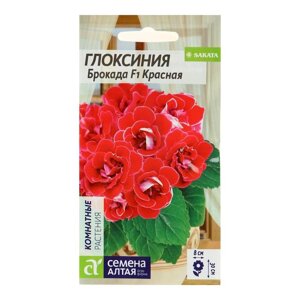 Семена комнатных цветов Глоксиния Брокада 'Красная'F1, 8 шт.