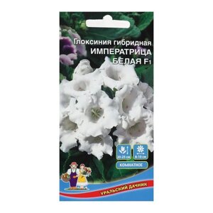 Семена комнатных цветов Глоксиния 'Императрица Белая'F1, 5 шт.