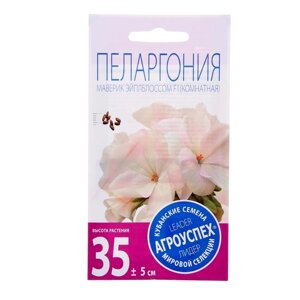 Семена комнатных цветов Пеларгония 'Эйплблоссом'4 шт.