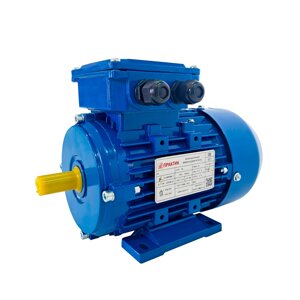 Электродвигатель АИР 100L8