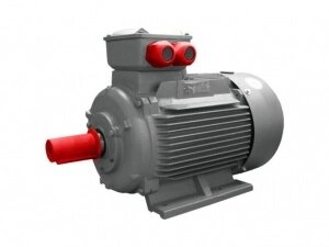 АИС 132 S4 IE2