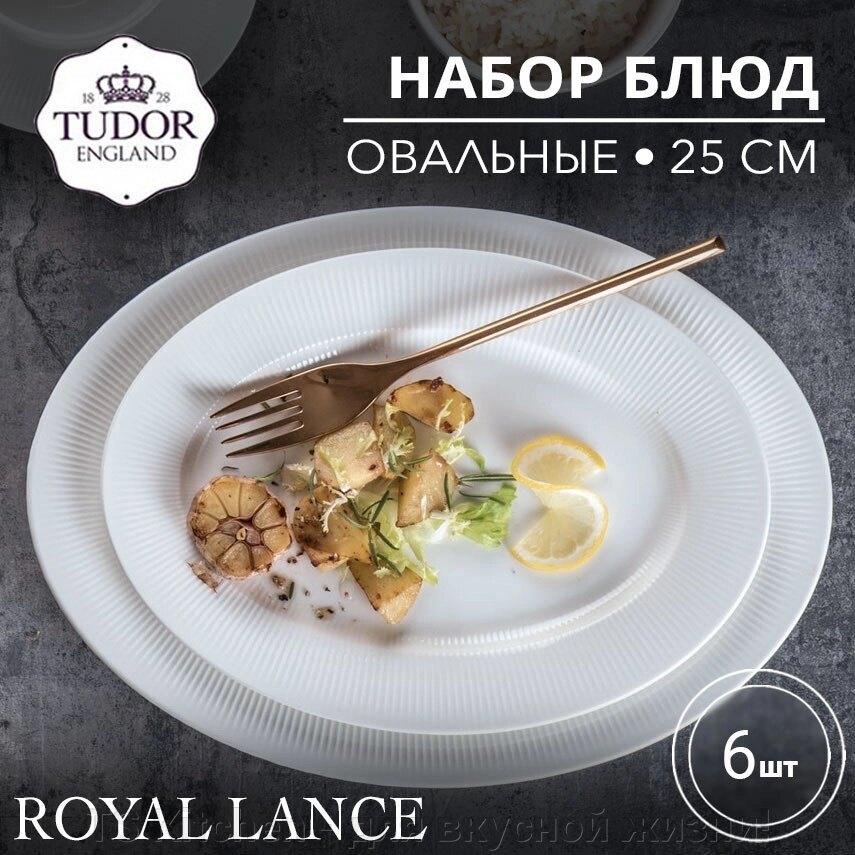 Блюдо овальное 25 см Royal Lance TU2871-2 (набор 6шт) TUDOR от компании TS Kitchen - для вкусной жизни! - фото 1